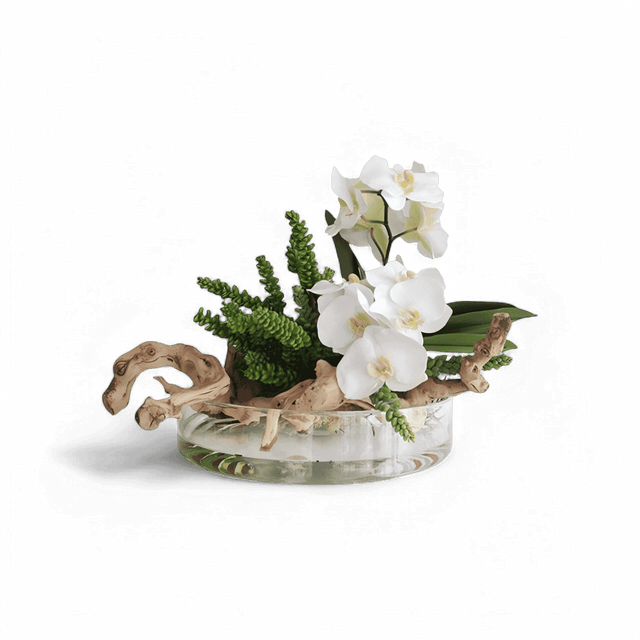 Heritage Vase Succulents and Wood