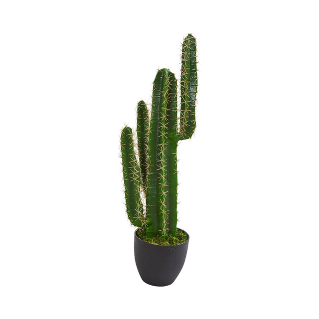 2.5 ft. Azure Spire Cactus