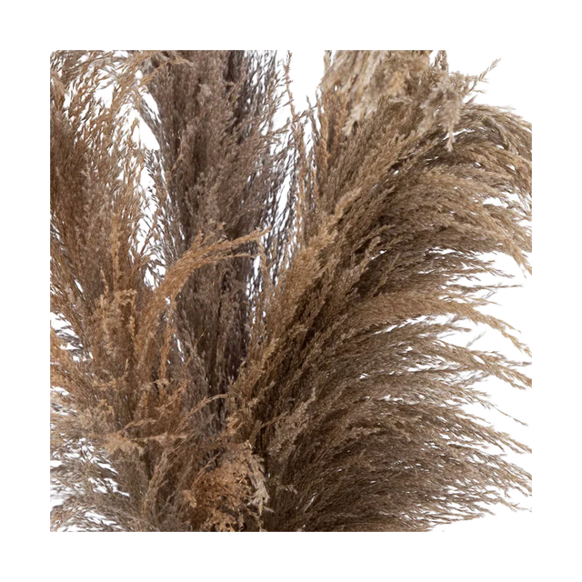 30" Desert Whisper - Dried Natural Pampas in Ceramic Vase