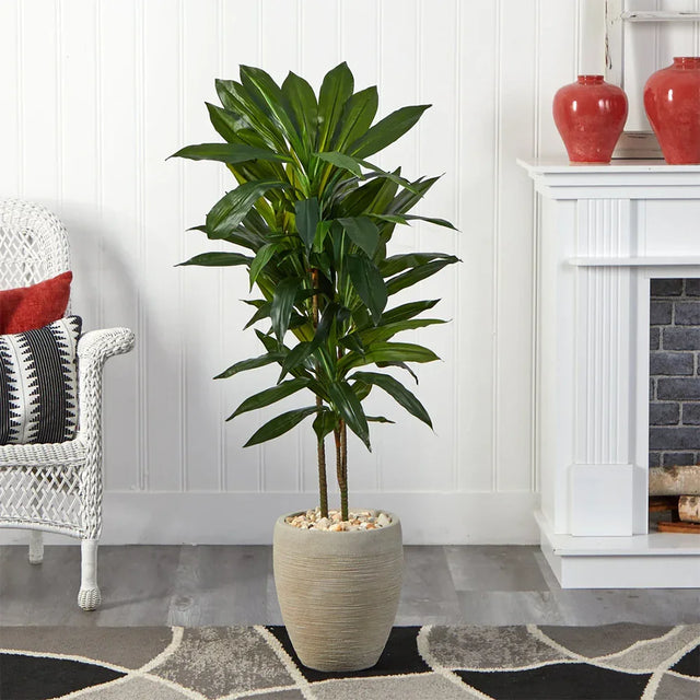 4 ft. Verdana Clay Dracaena with Sand Colored Planter