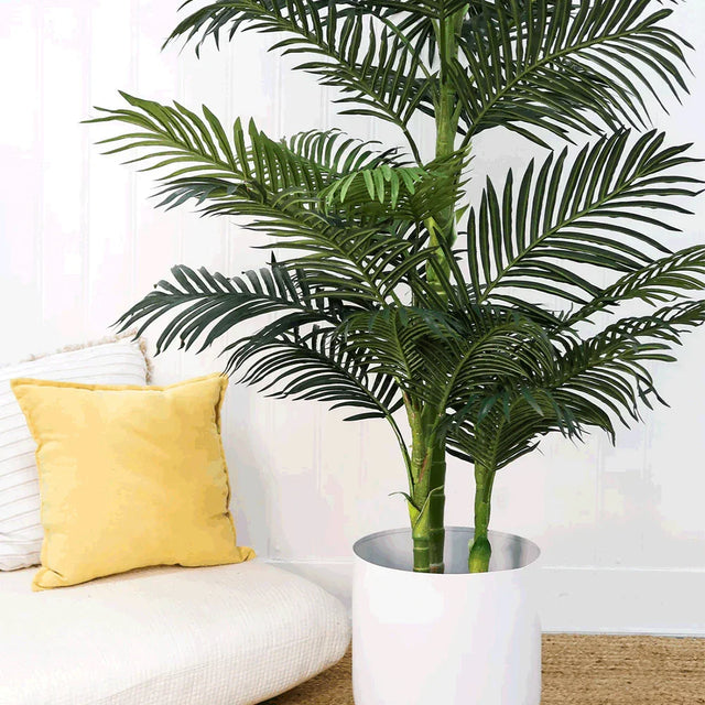 6.5 ft. Suncrest Palm Tree