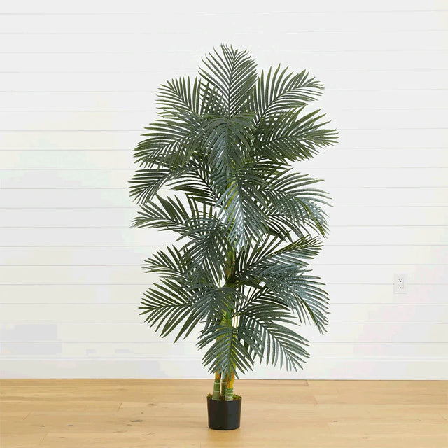 6.5 ft. Suncrest Palm Tree
