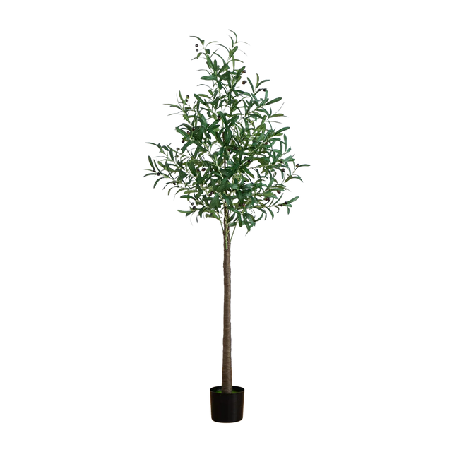 6 ft. Lumiere Olive