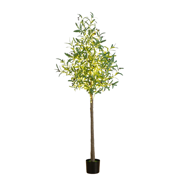 6 ft. Lumiere Olive