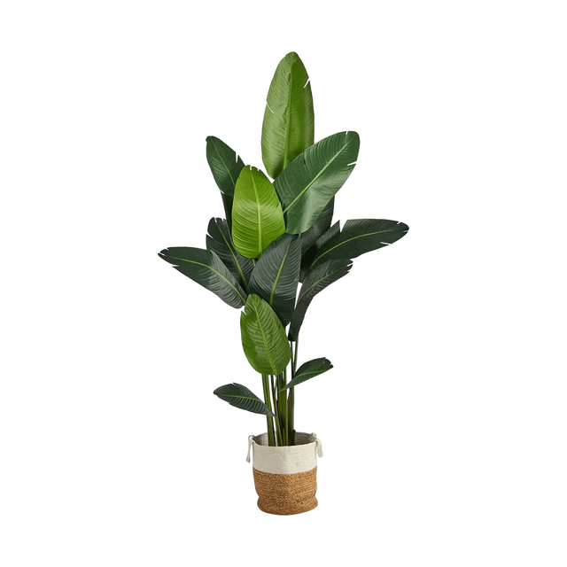 7 ft. Nomad Palm Tree