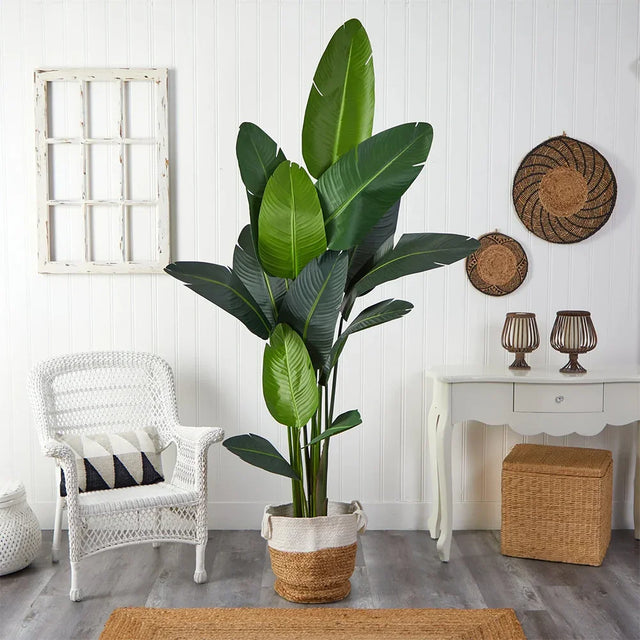 7 ft. Nomad Palm Tree