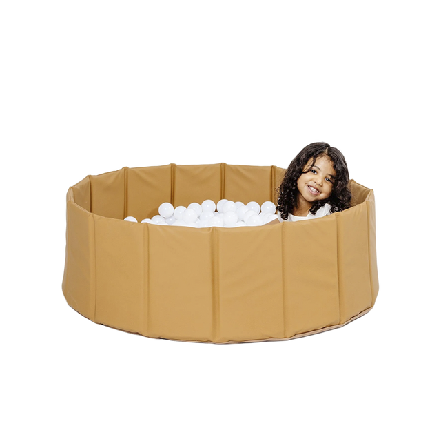 Ball Pit Camel