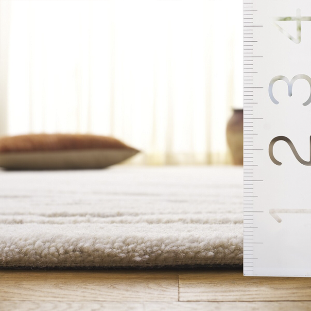 Pasha Beige & Brown Rug