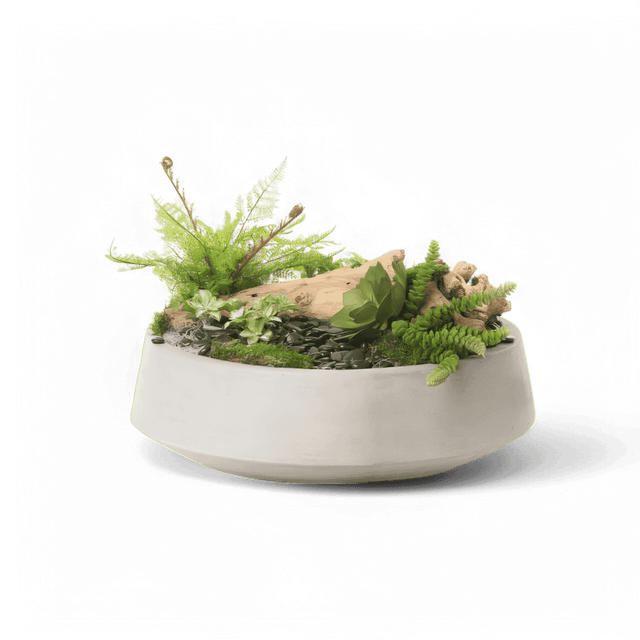 21" Bliss Arrangement