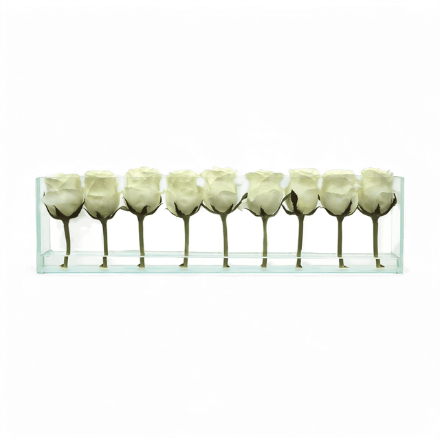 24" Roses with Flush Vase White