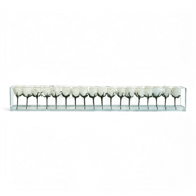 48" Roses with Flush Vase White