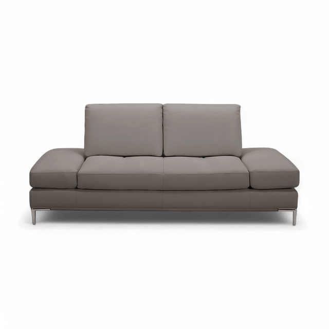 Livio 2 Seater Sofa Gray