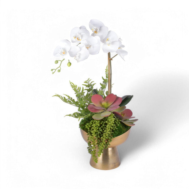 Noche Arrangement