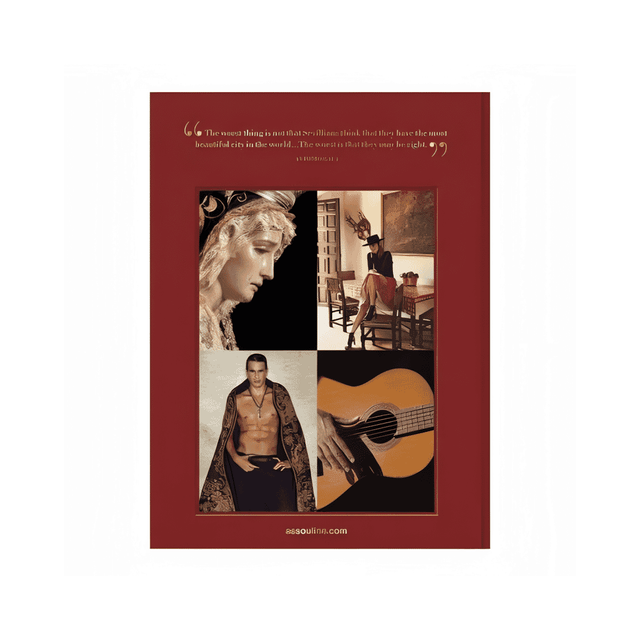 Sevilla Arte Book