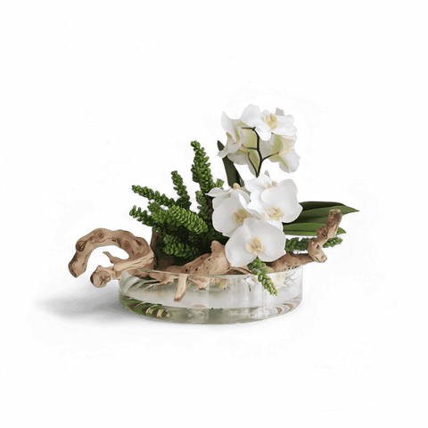 Heritage Vase Succulents and Wood