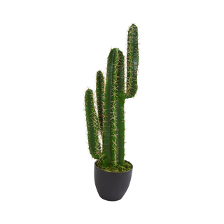 2.5 ft. Azure Spire Cactus