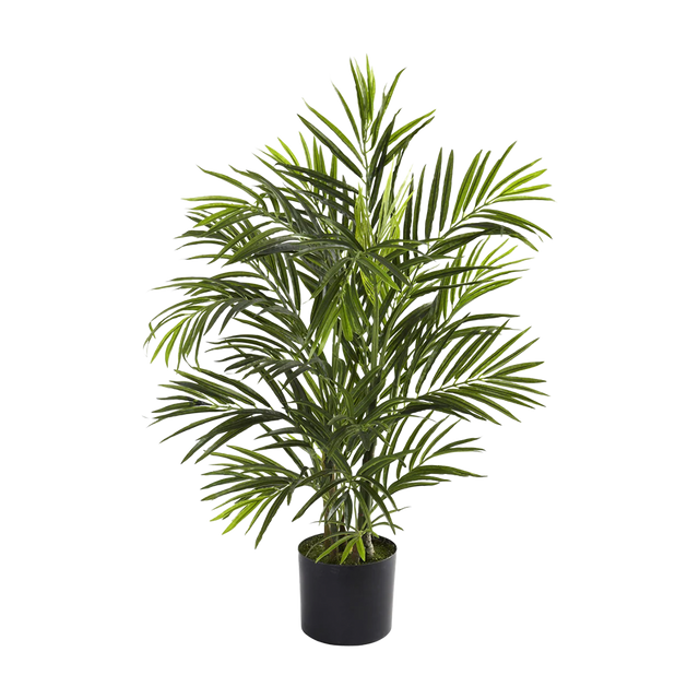 2.5 ft. Breeze Grove Palm