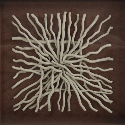 Whispered Earth Wall Art