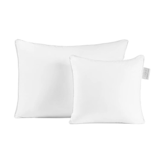Innofill Pillow Insert 10x10