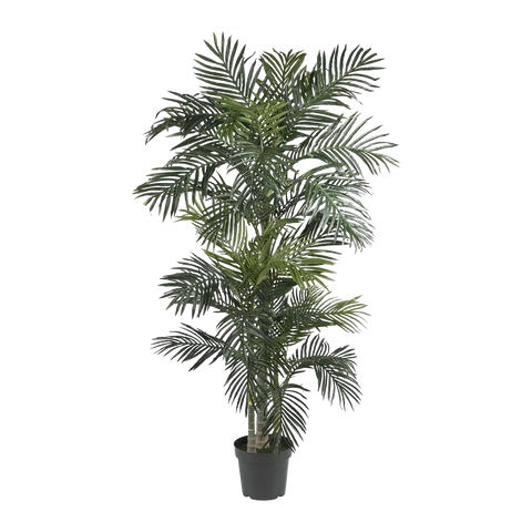 6.5 ft. Suncrest Palm Tree