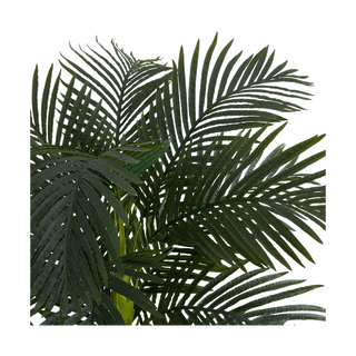 6.5 ft. Suncrest Palm Tree