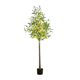 6 ft. Lumiere Olive