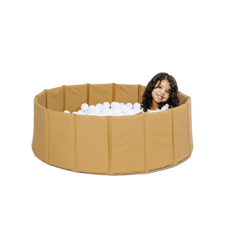 Ball Pit Camel