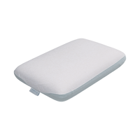 Bed In Motion CoolX Pillow