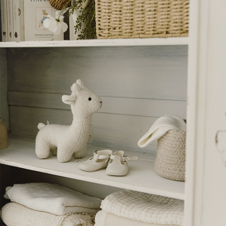 Boucle Llama
