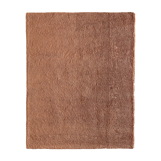 Diera Burnt Orange Rug (8' x 10')