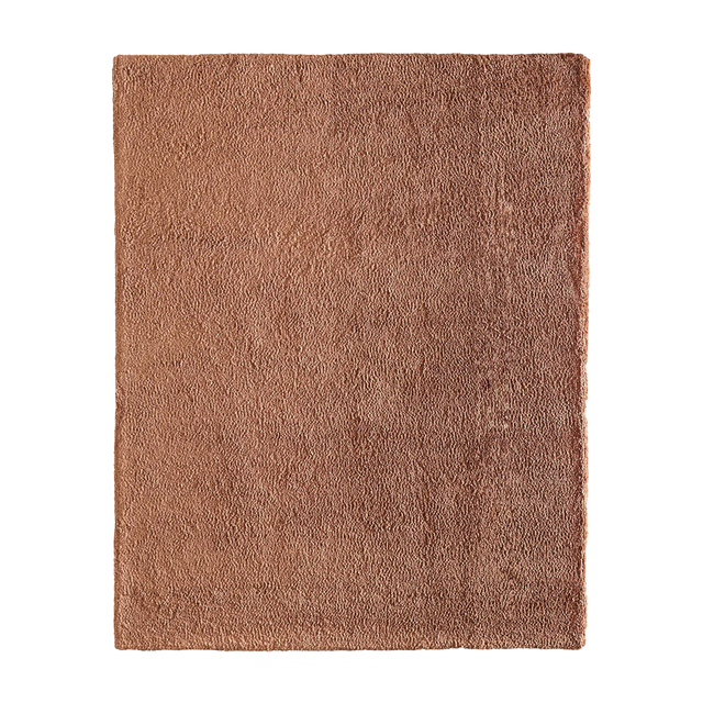 Diera Burnt Orange Rug (8