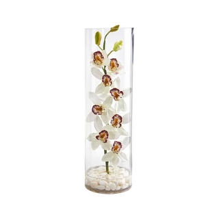 Golden Column Orchid