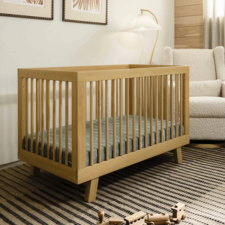 Hudson 3-in-1 Convertible Crib with Toddler Bed Conversion Kit