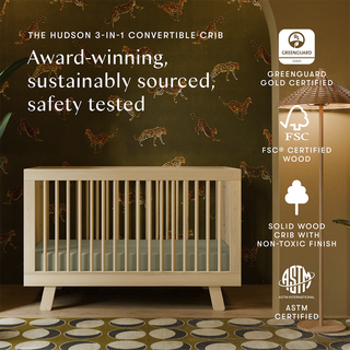 Hudson 3-in-1 Convertible Crib with Toddler Bed Conversion Kit