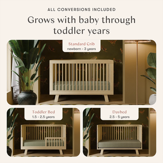 Hudson 3-in-1 Convertible Crib with Toddler Bed Conversion Kit