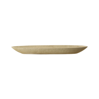 Ledger Tray