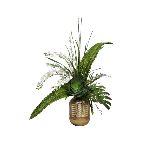 Lutetia Arrangement