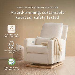 Sigi Electronic Recliner and Glider with USB Port