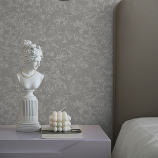 Palazzo Wallpaper Clay Concrete