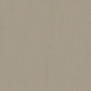 Palazzo Wallpaper Sand