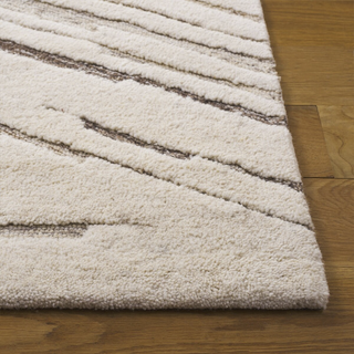 Pasha Beige & Brown Rug