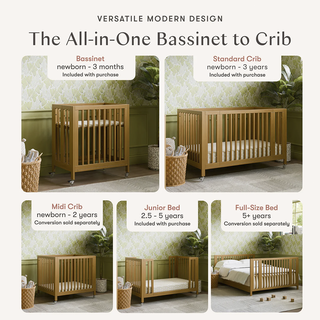 Rolli 9-in-1 Convertible All-Stages Crib