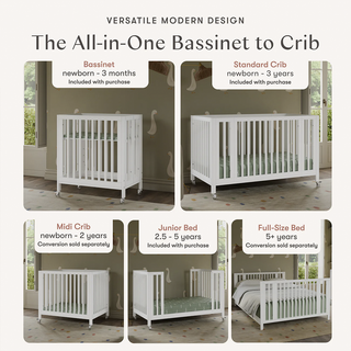 Rolli 9-in-1 Convertible All-Stages Crib