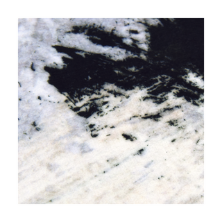 Static Motion Rug (8' X 10')