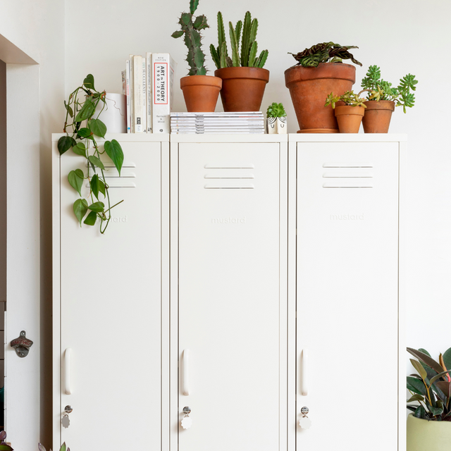 The Skinny Locker Chalk