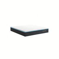Bed In Motion CoolX Mattress 10"