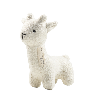 Boucle Llama