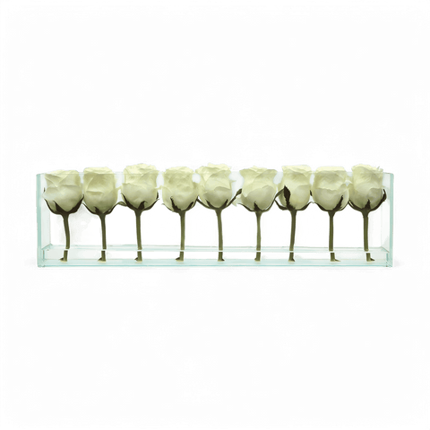 24" Roses with Flush Vase White