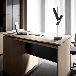 Gimbal LED Table Lamp