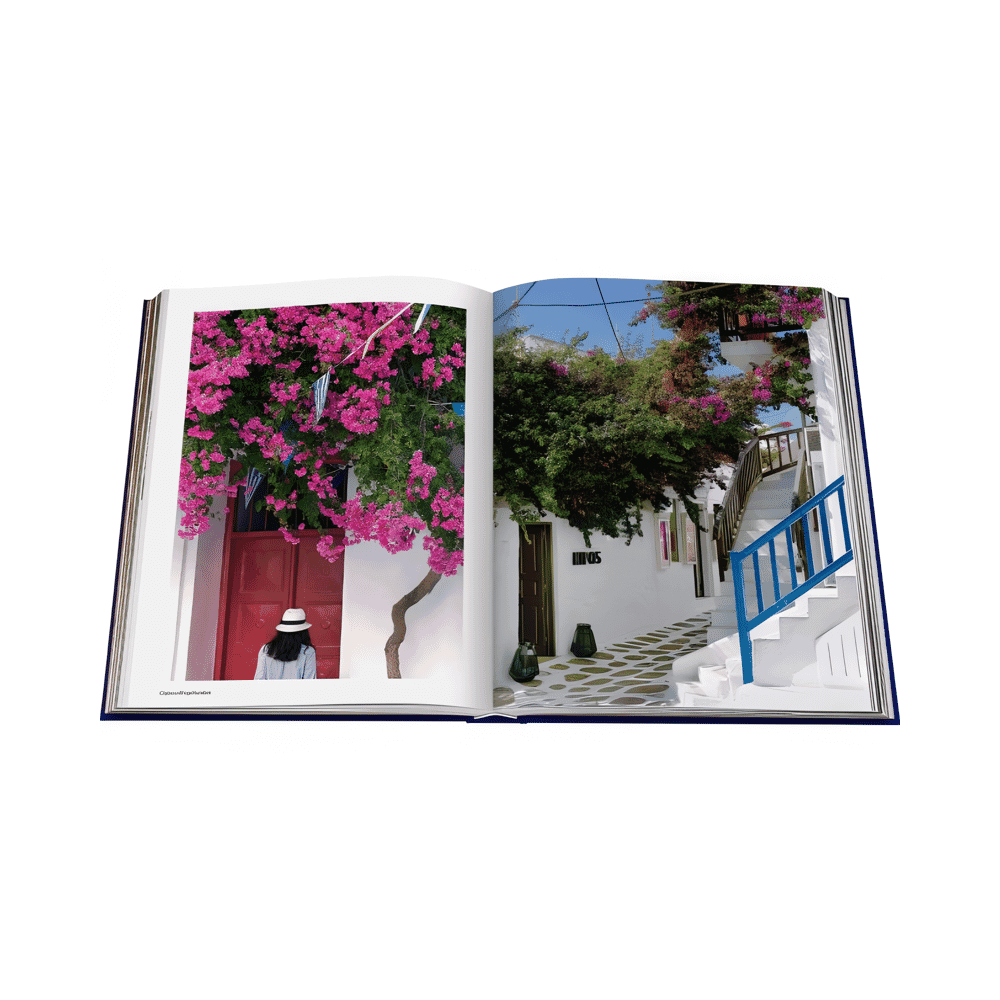 MYKONOS MUSE ビジュアルブック ASSOULINE Mykonos Muse – Wynn at Home